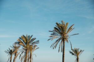 Hiszpański raj - Torremolinos