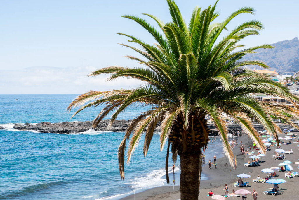 Przeprowadzka na Costa del Sol