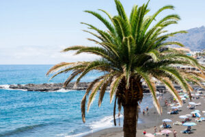 Przeprowadzka na Costa del Sol